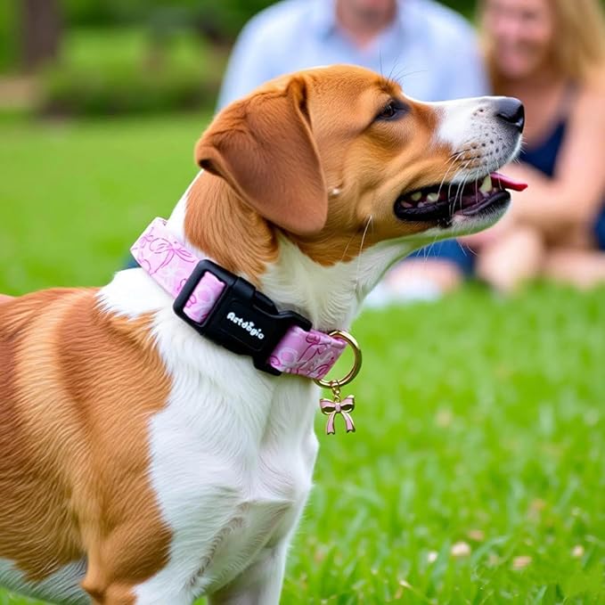 Small Dog Collar, Girl Boy Dog Collars - Image 5