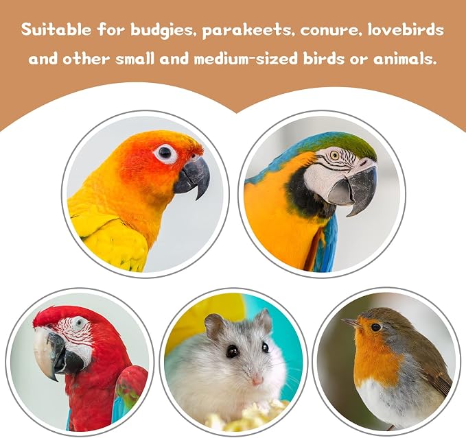36 PCS Bird Perches Stand Toy, Natural Wood Parrot Perch Stand Bird Cage - Image 7