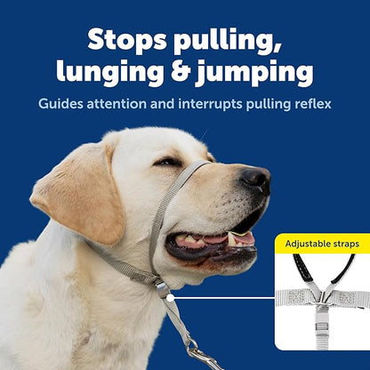 PetSafe Gentle Leader Headcollar No-Pull Dog Collar - Image 3