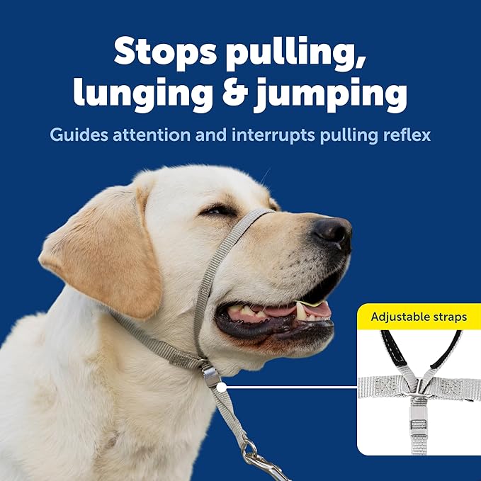 PetSafe Gentle Leader Headcollar - Image 3