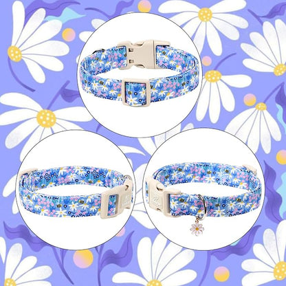 Floral Dog Collar for Small Dogs - Image 7