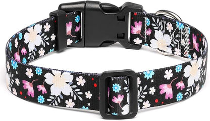 Mercano Adjustable Dog Collar - Image 2