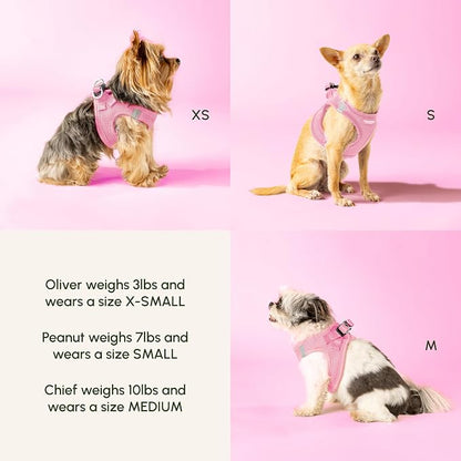 Downtown Pet Supply Step in Dog Harness - Image 4