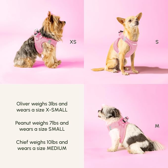 Downtown Pet Supply Step in Dog Harness - Image 3