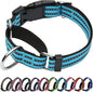 Martingale Dog Collar, Adjustable Nylon Reflective Collar by JOYEEIIOO