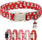 Christmas Dog Collar by Babolepet