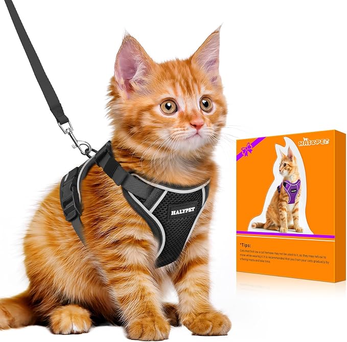 Halypet Cat Harness and Leash Set by DOMoreWithYourPet