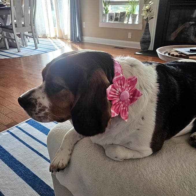 Lionheart Glory Dog Collar, Cute Floral Pattern Pet Collar Adjustable Pet Collar - Image 6