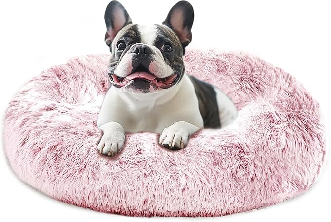 JOLLYVOGUE Calming Dog Bed Large Size Dog, Anti-Anxiety Donut Large Pet Bed by JOLLYVOGUE