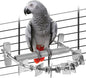 Bird Perch for Cage, Stainless Steel Parrot Perches by DBNESS