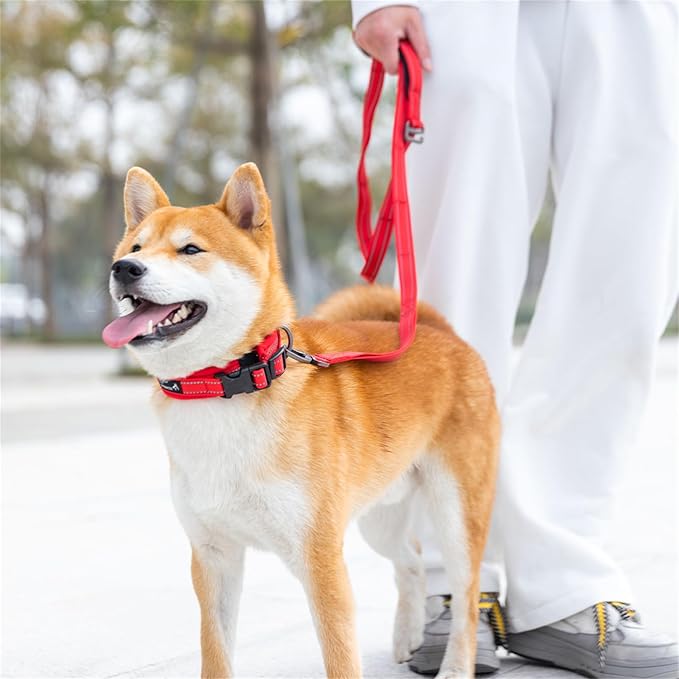 EXCELLENT ELITE SPANKER Reflective Dog Collar Classic Soft Padded Breathable - Image 7