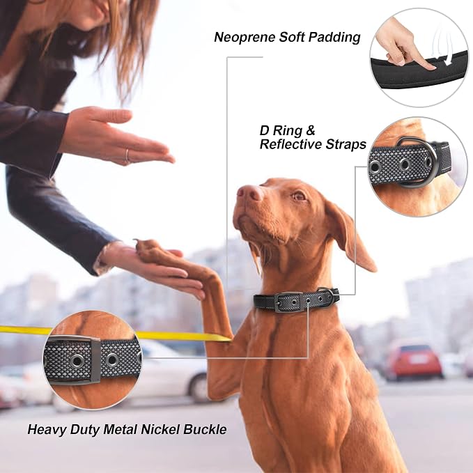 PetiFine Dog Collars for Medium Dogs, Neoprene Padded and Adjustable, - Image 2