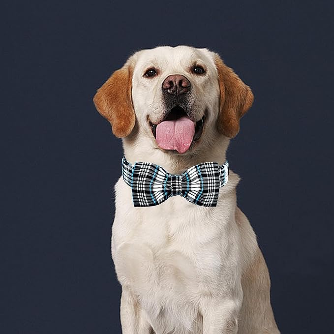 Lionheart glory Dog Bow Collar Blue and Black Plaid Dog Collar - Image 6