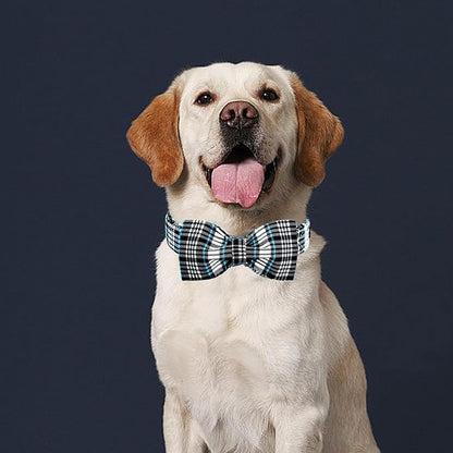 Lionheart glory Dog Bow Collar Blue and Black Plaid Dog Collar - Image 6