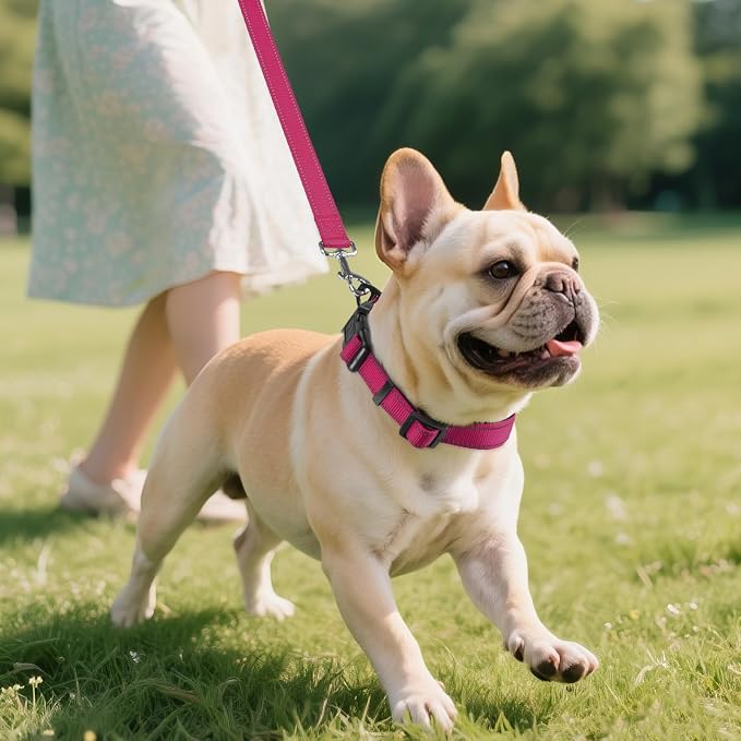 Joytale Reflective Dog Collar, Soft Neoprene Padded Breathable Nylon Pet Collar - Image 6