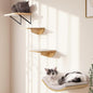 Cat Wall Shelves and Cats Window Perch – Natural Wood 4-Piece Set by PELUOMOZ