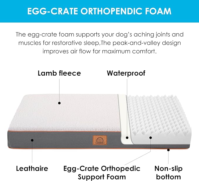 Orthopedic Dog Bed for Large Dogs - Image 2
