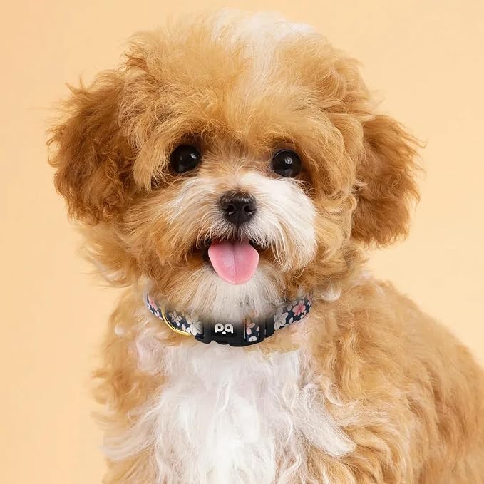 QQPETS Adjustable Soft Dog Collar: Print Flower Pink Multicolor Cute Patterns - Image 8