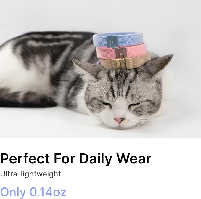 Safety Cat Collar - Image 4