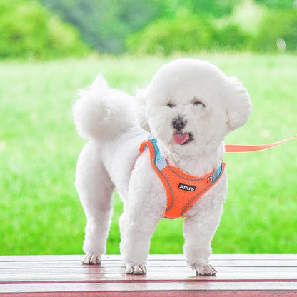 AIITLE Dog Harness, No-Pull Cat Harness - Image 8