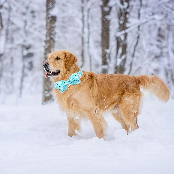 Dog Collar, Bow Dog Collar Blue Bear Pattern Pet Collar Dog Cute Bow Tie Soft - Image 6