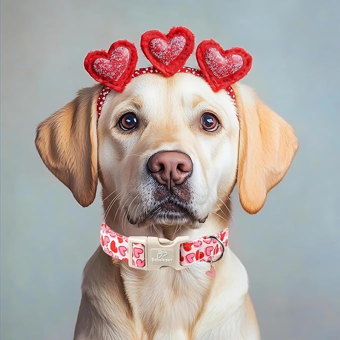 Valentines Dog Collar for Large Dogs - Image 5