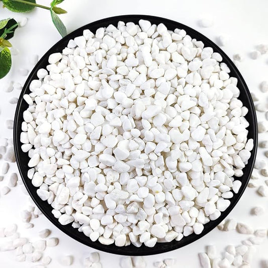2LB Succulent and Cactus Gravel Pebbles, 1/5 Inch White Natural Decorative by YISZM-ForYourNaturalLife