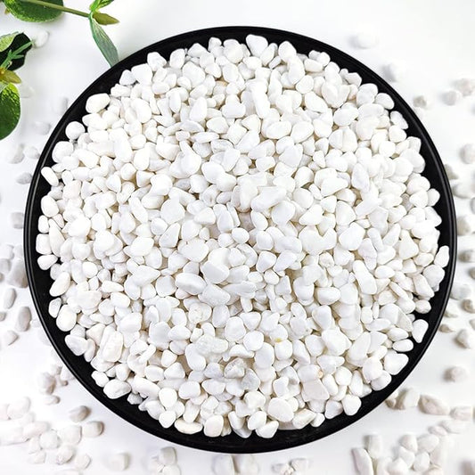 5LB Succulent and Cactus Gravel Pebbles, 1/5 Inch White Natural Decorative by YISZM-ForYourNaturalLife