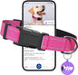 Reflective Dog Collar for Extra Small Dogs by Pawduct