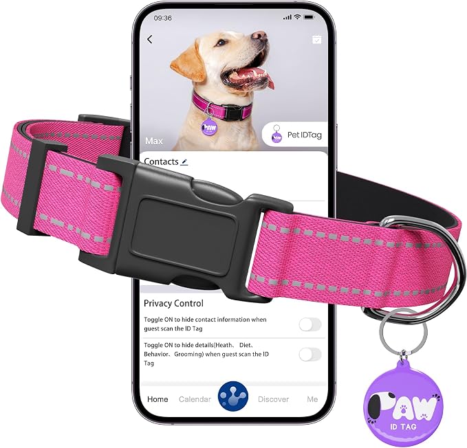 Reflective Dog Collar for Medium Dogs by Pawduct