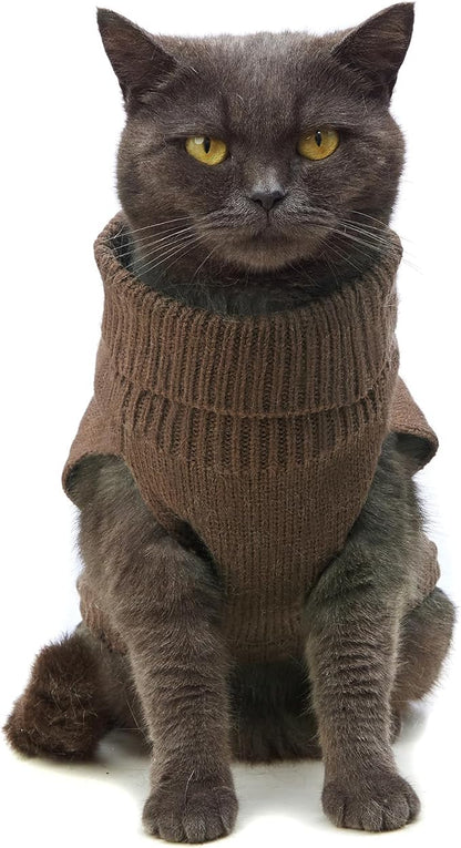 Stretchy Cat Sweater - Image 3