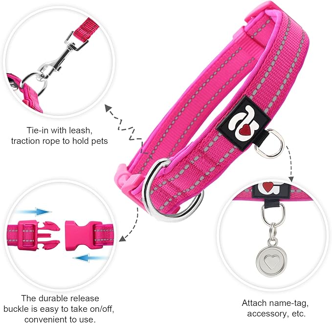 azuza Reflective Dog Collar, Soft Neoprene Padded Pet Collar - Image 2