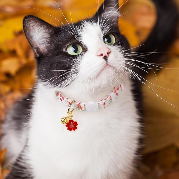 2 Pack Cotton Breakaway Cat Collar Green and Red Flowers Pendant Cute Kitten - Image 6