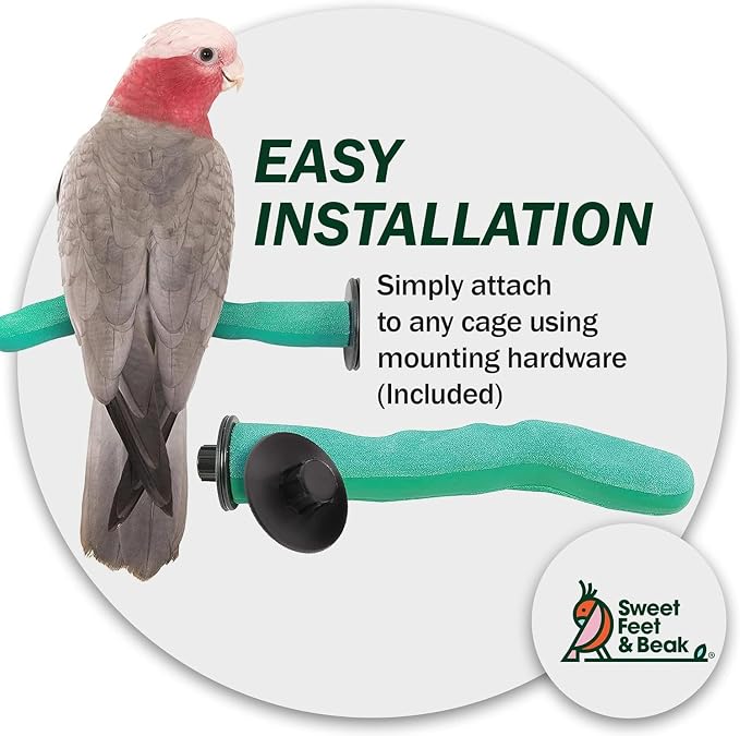 Sweet Feet & Beak Safety Pumice Bird Perch, Medium 1-1/4" X 12" - Image 6