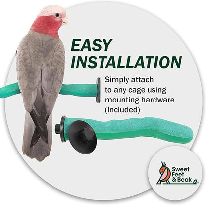 Sweet Feet and Beak Safety Pumice Perch - Image 6