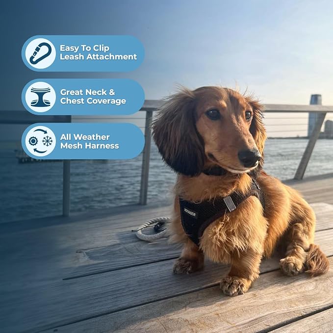 Best Pet Supplies Voyager Step-in Air All Weather Mesh Harness and Reflective - Image 6