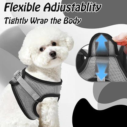 AIITLE Dog Harness, No-Pull Cat Harness - Image 7