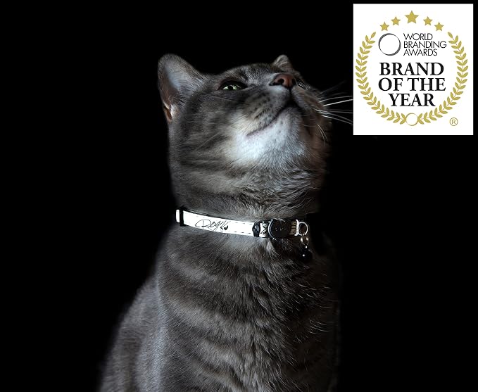 Rogz Glow in the Dark Reflective Cat Collar - Image 6