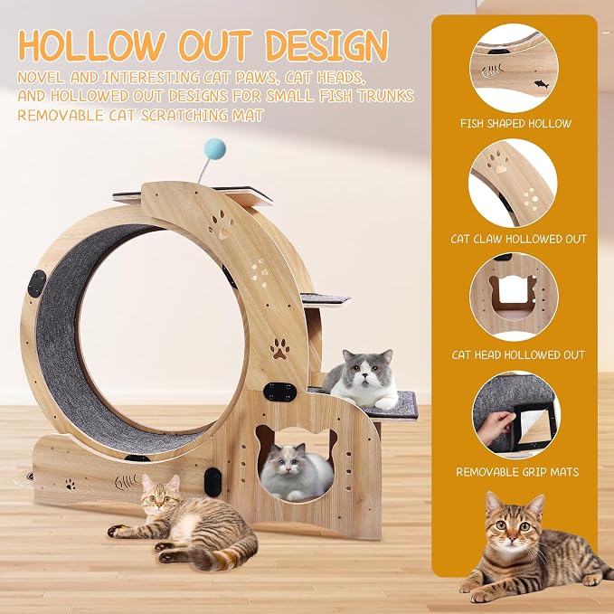 6-in-1 Cat Exercise Wheel - Image 3