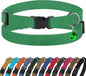 Breakaway Cat Collar Leather by BUDKAS