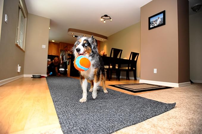 Chuckit! Indoor Fetch Ball Dog Toy - Image 5