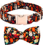 Fall Dog Collar, Leaf Pumpkin Print Adjustable Pet Collar Cute Cotton Soft by BoboRainbow