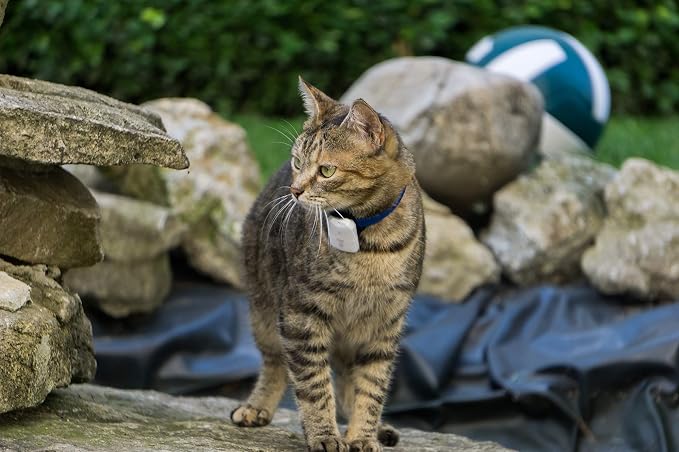 Pro-Track-tor - Ultra-Lightweight Cat Finder - No Monthly Fees - 1600ft Range - Image 6