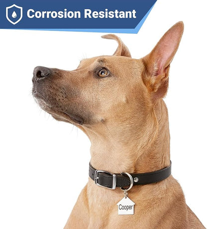 GoTags Stainless Steel Pet ID Tags, Personalized Dog Tags and Cat Tags - Image 4