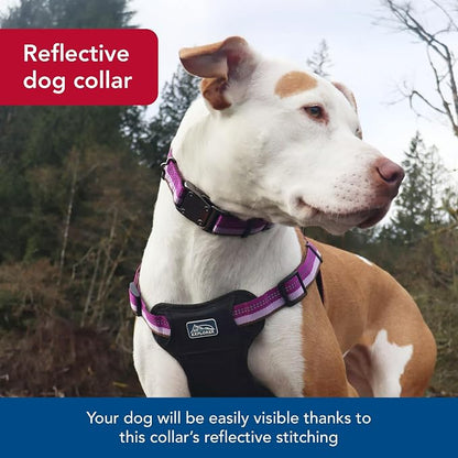 Coastal Pet K9 Explorer Reflective Adjustable Dog Collar - Image 4