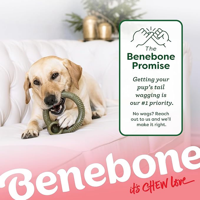 Benebone Peppermint Ring – Limited Edition Holiday Flavor, Durable Chew Toy - Image 7