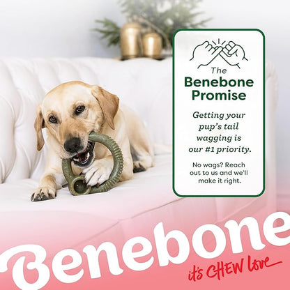 Benebone Peppermint Ring – Limited Edition Holiday Flavor, Durable Chew Toy - Image 6