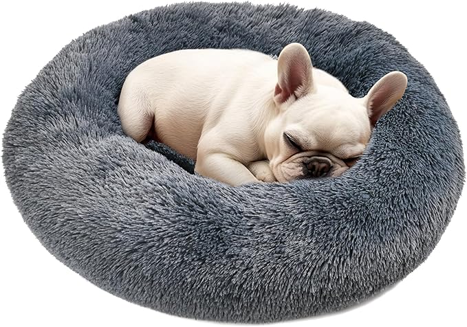 Hoewina Dog & Cat Bed, 20in Cat Beds by Hoewina