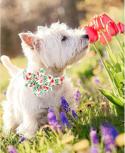 Lionheart glory Dog Collar Flowers Collar Floral Dog Collar - Image 3