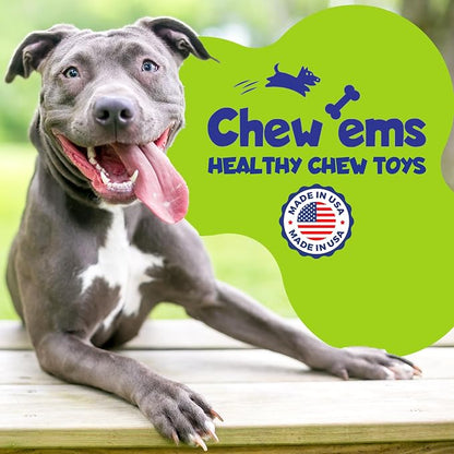 Chew’ems X Bone Dog Chew – Long-Lasting Salmon Flavor Treats - Image 6